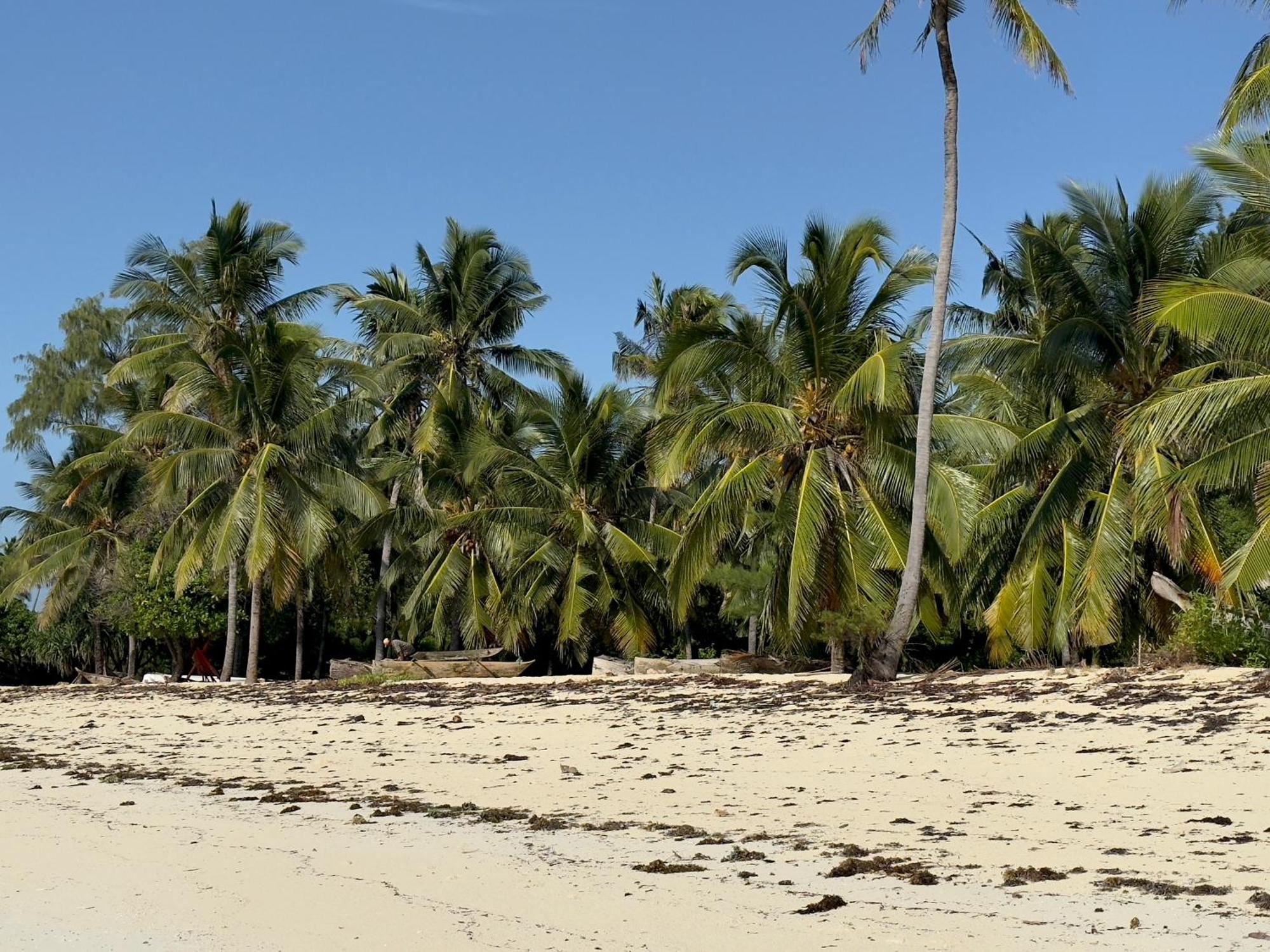 Juana Ocean Villas Makunduchi Zewnętrze zdjęcie